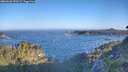 ./images/calvert/foggy-cove/20260620/foggy-cove20260620_070501M.jpg