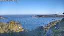 ./images/calvert/foggy-cove/20260620/foggy-cove20260620_071001M.jpg
