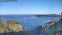 ./images/calvert/foggy-cove/20260620/foggy-cove20260620_071501M.jpg