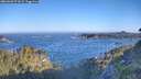 ./images/calvert/foggy-cove/20260620/foggy-cove20260620_072002M.jpg