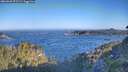 ./images/calvert/foggy-cove/20260620/foggy-cove20260620_072501M.jpg