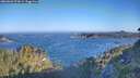 ./images/calvert/foggy-cove/20260620/foggy-cove20260620_073001M.jpg