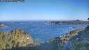 ./images/calvert/foggy-cove/20260620/foggy-cove20260620_073501M.jpg