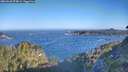 ./images/calvert/foggy-cove/20260620/foggy-cove20260620_074002M.jpg