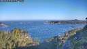./images/calvert/foggy-cove/20260620/foggy-cove20260620_074501M.jpg