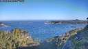 ./images/calvert/foggy-cove/20260620/foggy-cove20260620_075001M.jpg