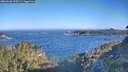 ./images/calvert/foggy-cove/20260620/foggy-cove20260620_075501M.jpg