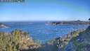 ./images/calvert/foggy-cove/20260620/foggy-cove20260620_080001M.jpg