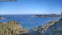 ./images/calvert/foggy-cove/20260620/foggy-cove20260620_081001M.jpg