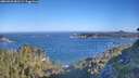 ./images/calvert/foggy-cove/20260620/foggy-cove20260620_081501M.jpg