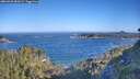 ./images/calvert/foggy-cove/20260620/foggy-cove20260620_082002M.jpg