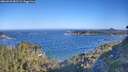 ./images/calvert/foggy-cove/20260620/foggy-cove20260620_082501M.jpg