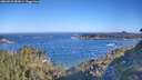 ./images/calvert/foggy-cove/20260620/foggy-cove20260620_083001M.jpg