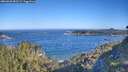./images/calvert/foggy-cove/20260620/foggy-cove20260620_083501M.jpg
