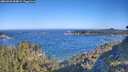 ./images/calvert/foggy-cove/20260620/foggy-cove20260620_084001M.jpg