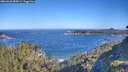 ./images/calvert/foggy-cove/20260620/foggy-cove20260620_085002M.jpg