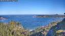 ./images/calvert/foggy-cove/20260620/foggy-cove20260620_085501M.jpg