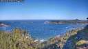 ./images/calvert/foggy-cove/20260620/foggy-cove20260620_090501M.jpg