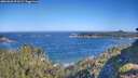 ./images/calvert/foggy-cove/20260620/foggy-cove20260620_091001M.jpg