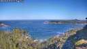 ./images/calvert/foggy-cove/20260620/foggy-cove20260620_091502M.jpg