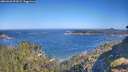 ./images/calvert/foggy-cove/20260620/foggy-cove20260620_092001M.jpg