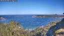 ./images/calvert/foggy-cove/20260620/foggy-cove20260620_093002M.jpg