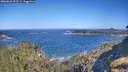 ./images/calvert/foggy-cove/20260620/foggy-cove20260620_093501M.jpg
