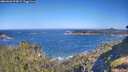 ./images/calvert/foggy-cove/20260620/foggy-cove20260620_094001M.jpg