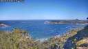 ./images/calvert/foggy-cove/20260620/foggy-cove20260620_094501M.jpg