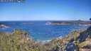 ./images/calvert/foggy-cove/20260620/foggy-cove20260620_095502M.jpg