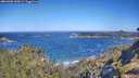 ./images/calvert/foggy-cove/20260620/foggy-cove20260620_100001M.jpg