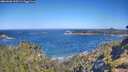 ./images/calvert/foggy-cove/20260620/foggy-cove20260620_100501M.jpg
