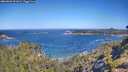 ./images/calvert/foggy-cove/20260620/foggy-cove20260620_101002M.jpg