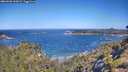 ./images/calvert/foggy-cove/20260620/foggy-cove20260620_102001M.jpg