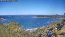 ./images/calvert/foggy-cove/20260620/foggy-cove20260620_102501M.jpg