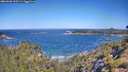 ./images/calvert/foggy-cove/20260620/foggy-cove20260620_103501M.jpg