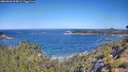 ./images/calvert/foggy-cove/20260620/foggy-cove20260620_104001M.jpg