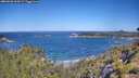 ./images/calvert/foggy-cove/20260620/foggy-cove20260620_104501M.jpg