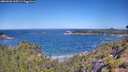 ./images/calvert/foggy-cove/20260620/foggy-cove20260620_105501M.jpg