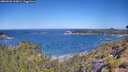 ./images/calvert/foggy-cove/20260620/foggy-cove20260620_110001M.jpg