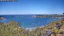./images/calvert/foggy-cove/20260620/foggy-cove20260620_110501M.jpg