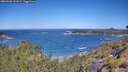 ./images/calvert/foggy-cove/20260620/foggy-cove20260620_111001M.jpg