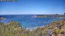 ./images/calvert/foggy-cove/20260620/foggy-cove20260620_112501M.jpg