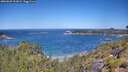 ./images/calvert/foggy-cove/20260620/foggy-cove20260620_113001M.jpg