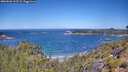 ./images/calvert/foggy-cove/20260620/foggy-cove20260620_113501M.jpg