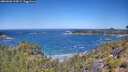 ./images/calvert/foggy-cove/20260620/foggy-cove20260620_114501M.jpg