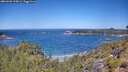./images/calvert/foggy-cove/20260620/foggy-cove20260620_115001M.jpg