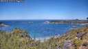 ./images/calvert/foggy-cove/20260620/foggy-cove20260620_115502M.jpg