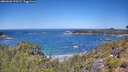./images/calvert/foggy-cove/20260620/foggy-cove20260620_120501M.jpg