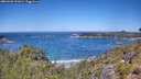./images/calvert/foggy-cove/20260620/foggy-cove20260620_121001M.jpg